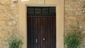 A stone wall with a wooden door, two potted plants, and a light fixture above the door. - VINEYARDS AND OLIVE TREES BETWEEN ON THE WINE ROUTE (Vacqueyras)
