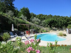 A swimming pool surrounded by lush greenery and a wooden pergola.