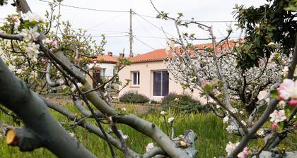 Le Pavillon : Vacances , Randonnées , Cures thermales, Patrimoine , Festivals