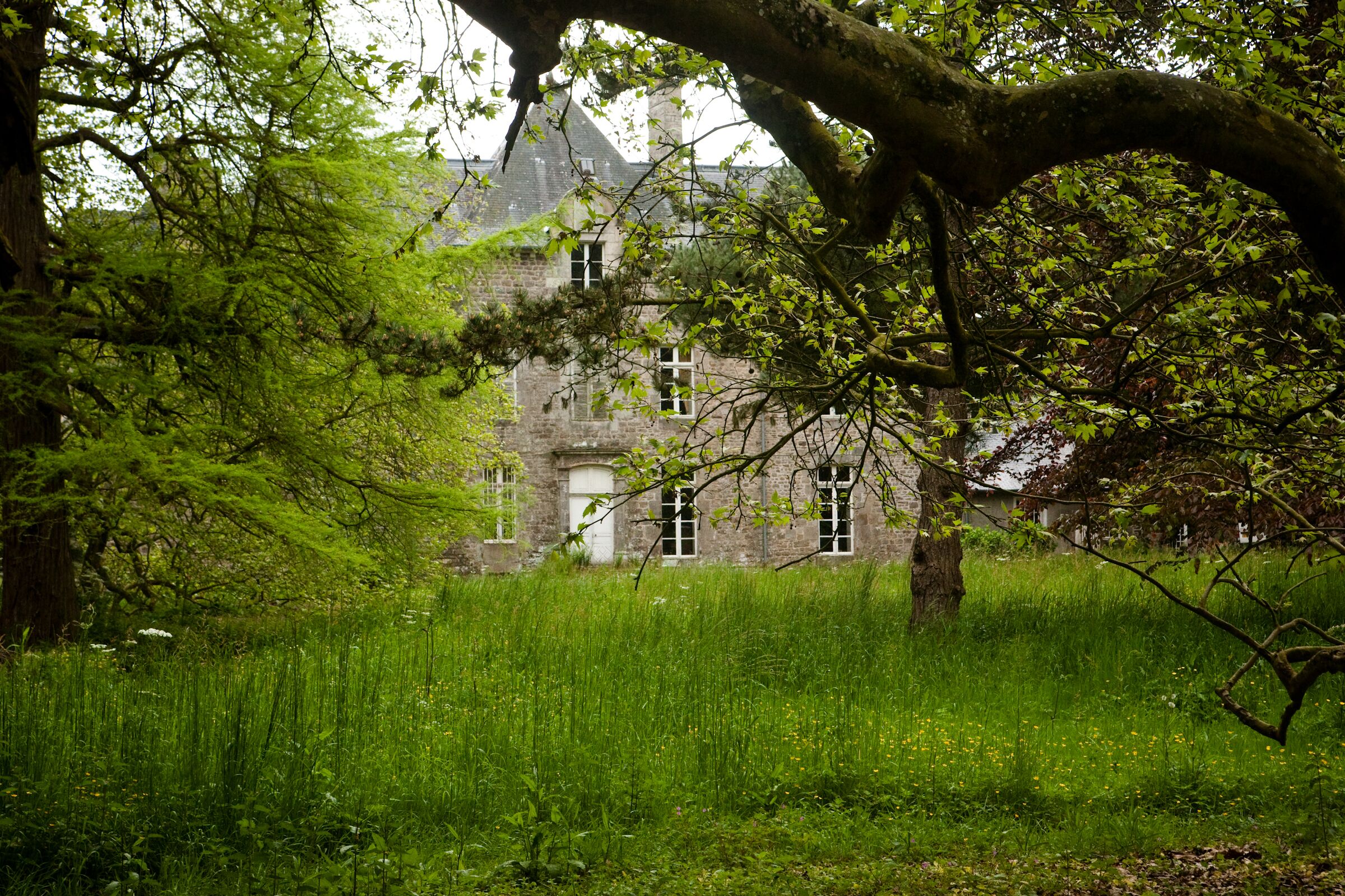 Eksteriør