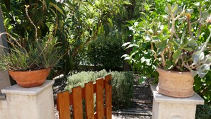 Une porte en bois dans un jardin, avec des plantes en pot de chaque côté.