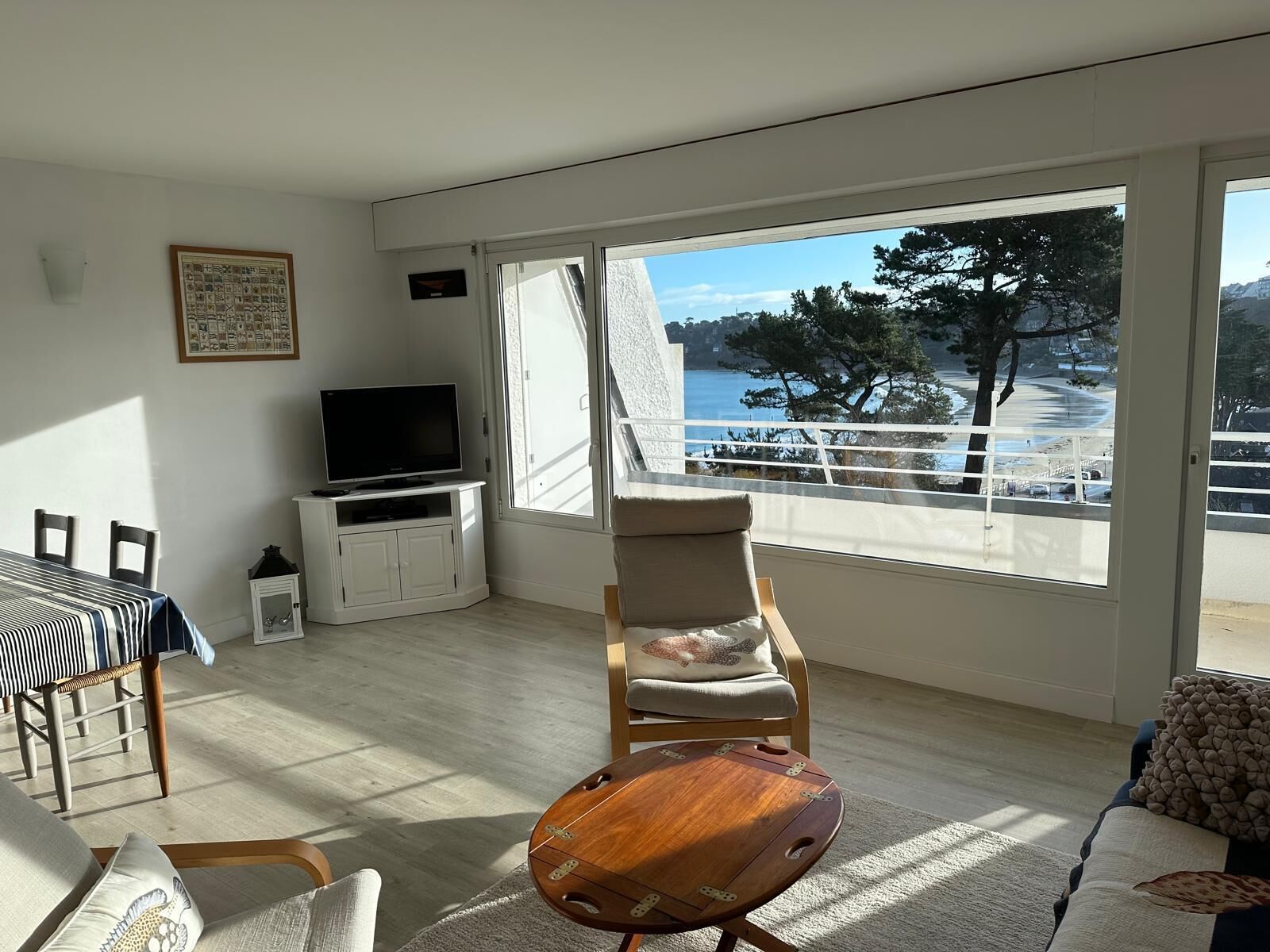 電視、DVD 播放機、書籍、音樂庫