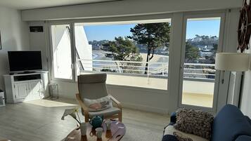 TV, DVD player, books, music library