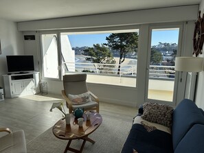 TV, DVD player, books, music library