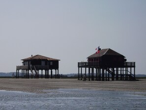 Playa
