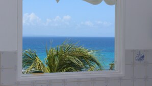 A window with a view of the ocean and palm trees.