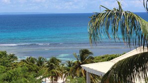 A beach view with palm trees and a clear sky.
