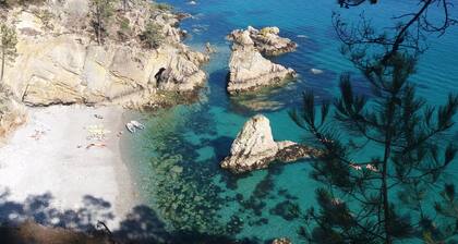 Altes Haus nahe Strand zwischen ruhigem hellem Garten Crozon Camaret Wifi