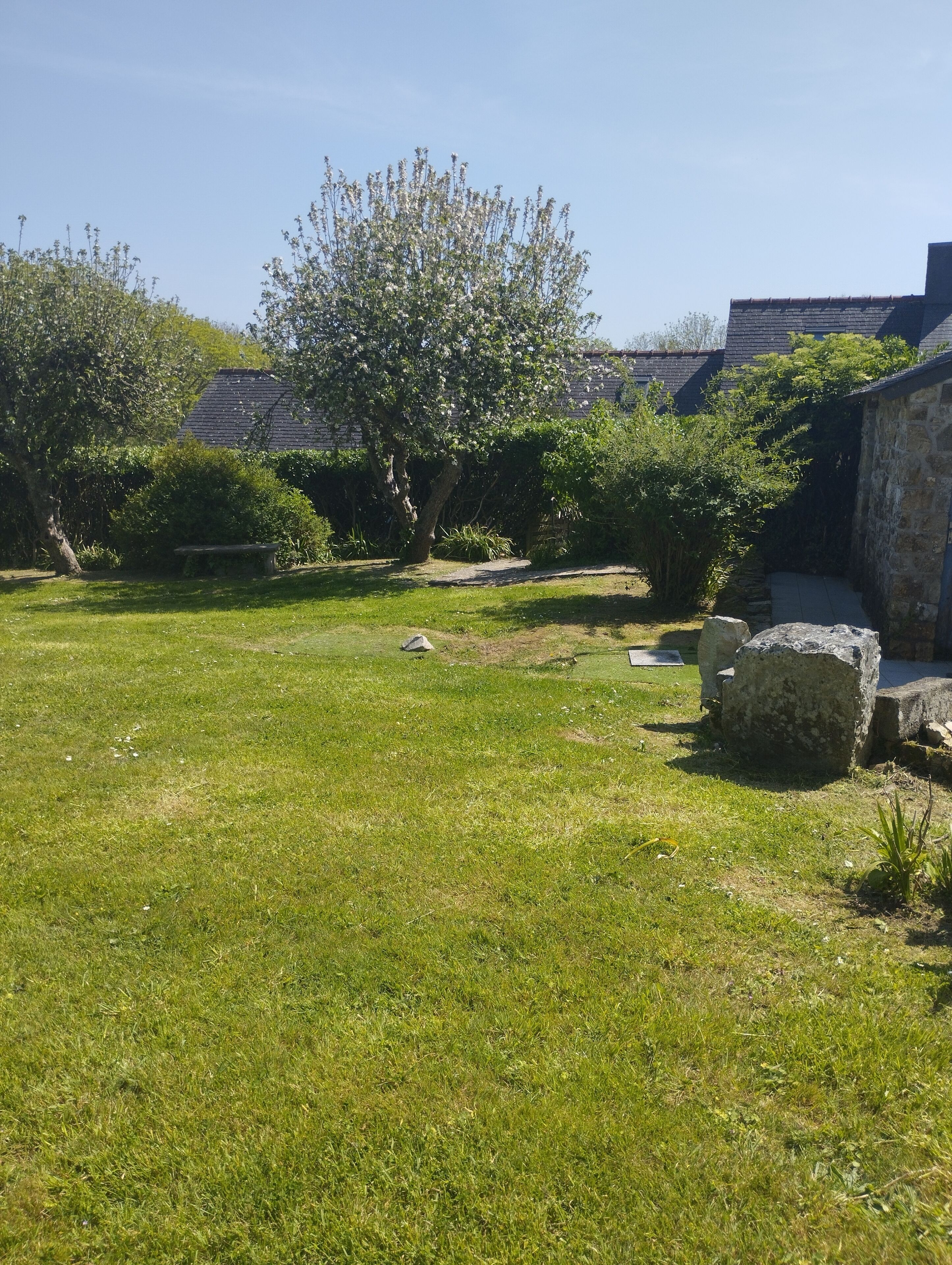 A grassy outdoor area with a stone wall, a tree, and a stone bench.