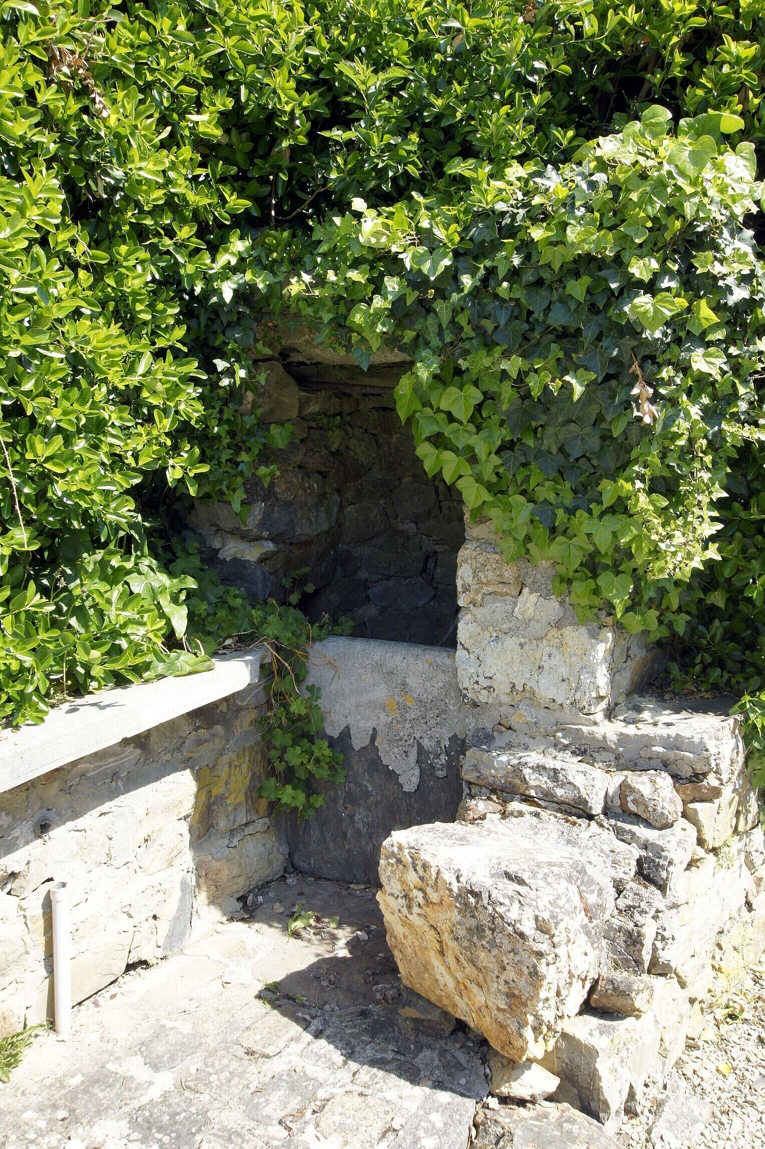 A stone structure partially covered by green ivy.