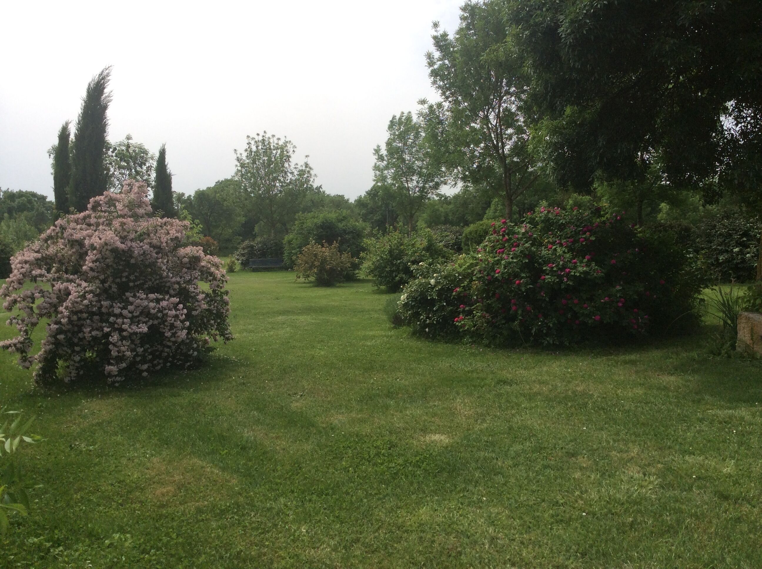 A well-maintained garden with various flowering shrubs and trees.