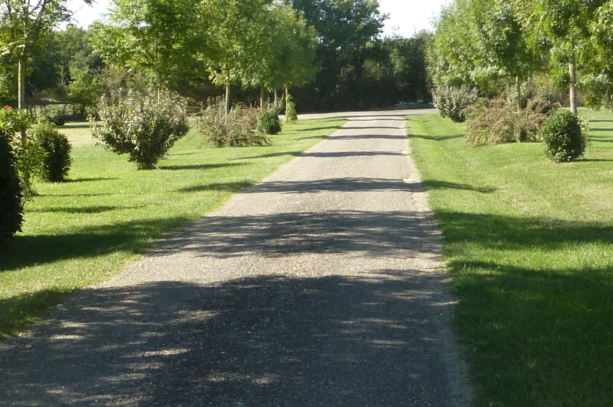 A paved pathway flanked by neatly trimmed hedges and trees, leading into a lush green area.