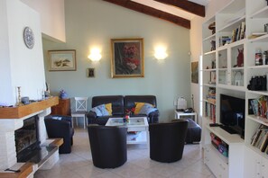 TV, fireplace, books