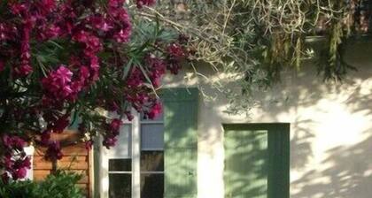 Avignon, charmante Gasthaus in einem Stadthaus mit Garten