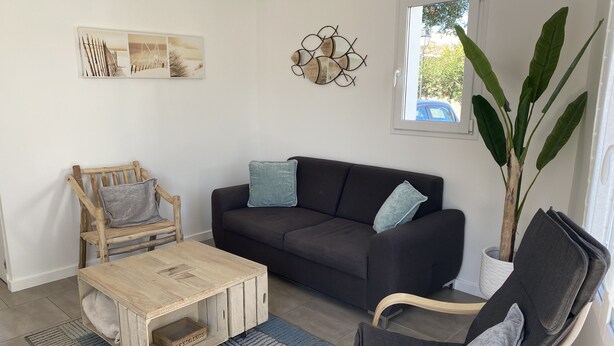 Ein Wohnzimmer mit einem dunkelbraunen Sofa, einem Holztisch, einem grauen Sessel und einer großen Topfpflanze.