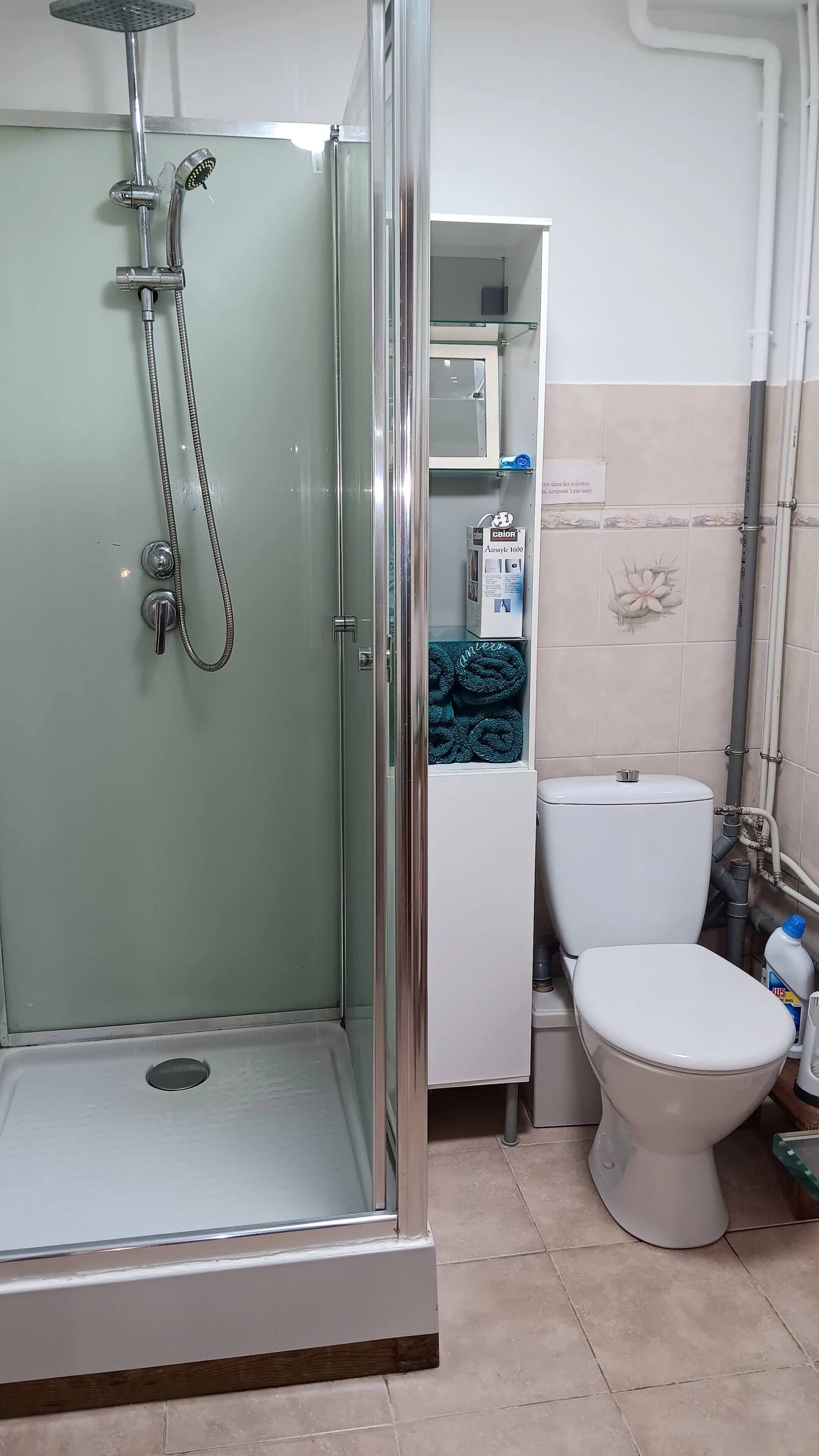A bathroom with a glass-enclosed shower, a toilet, and a cabinet with toiletries.