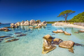 A clear coastal scene with large rocks in the water, a tree on the beach, and a clear blue sky.