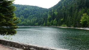 A serene lake surrounded by dense forest and a stone embankment. - Have a breath in our mountains. (La Bresse)