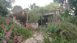 A rustic cabin with a wooden roof and stone walls, surrounded by lush greenery and flowering plants. - Charming 2-person gite with pool between Luberon and Alpilles (Cavaillon)