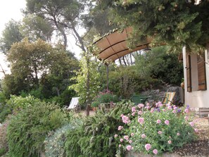 Área da propriedade