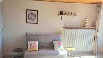 电视、DVD 播放器