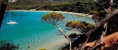 Sulla spiaggia, lettini da mare