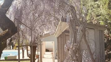 Terrein van de accommodatie