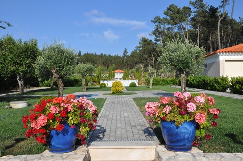 BEAUTIFUL VILLA POOL GARDEN 20 km BEACH HOLIDAY FAMILY - FRIENDS (Figueira da Foz)