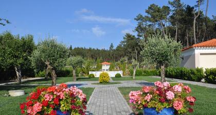 BEAUTIFUL VILLA POOL GARDEN 20 km BEACH HOLIDAY FAMILY - FRIENDS (Figueira da Foz)