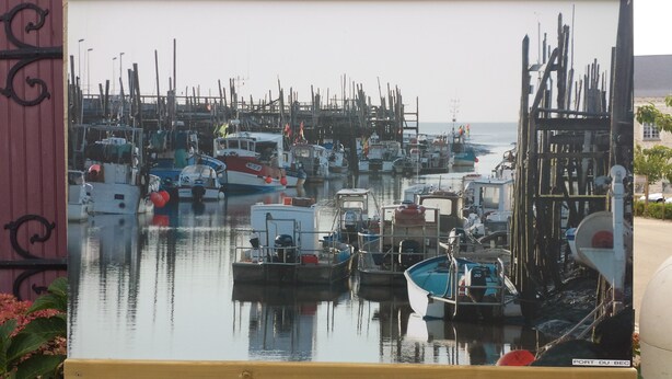 A harbor with numerous boats docked, a pier, and a building with a sign reading "PORT DU BEC". - house by the sea on the Vendée coast quiet good plan (Bouin)