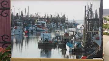 Port de plaisance