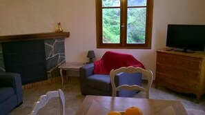 TV, peis, bøker og kontorer