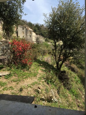 Terrain de l’hébergement 