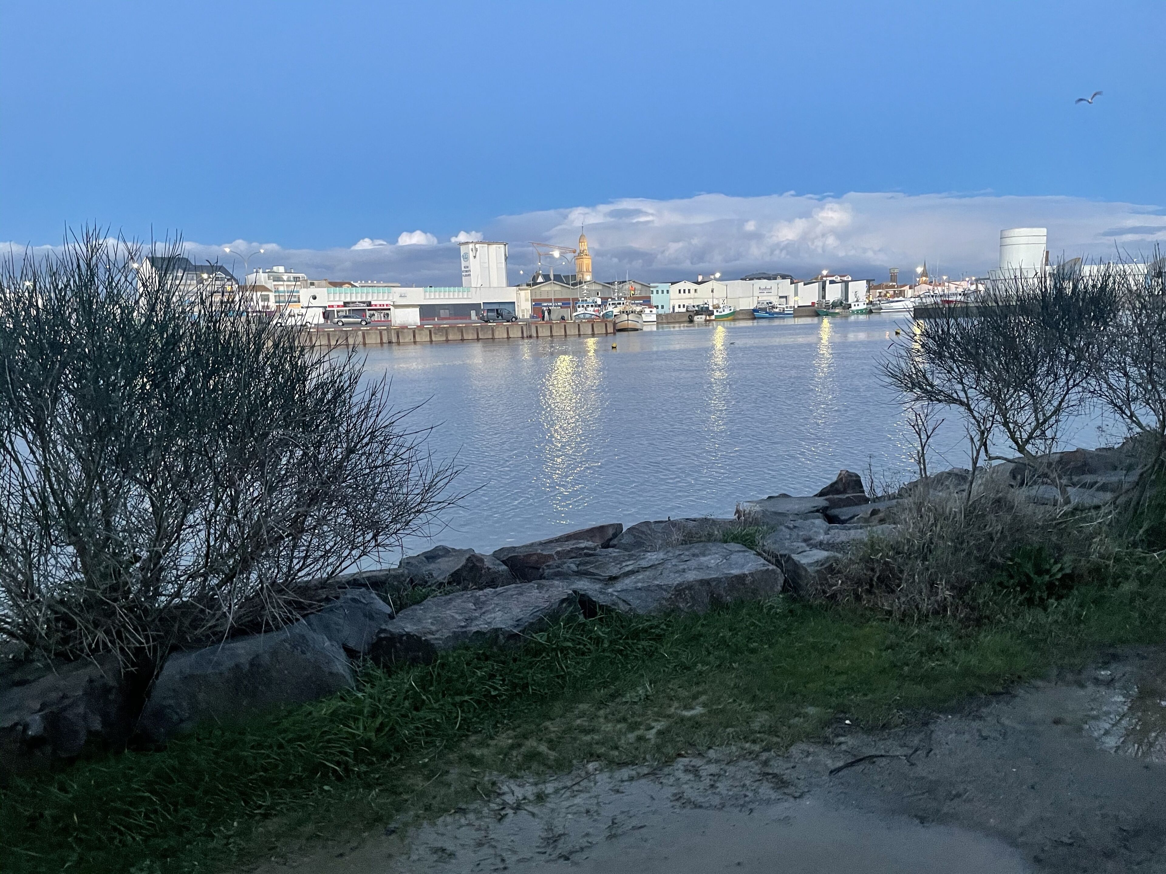 Een uitzicht op het water met een stenen muur, grasvelden en een rustige rivier die gebouwen en boten weerspiegelt.
