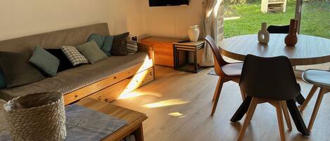 تلفزيون، مشغل دي في دي