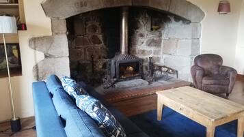 Télévision, cheminée, lecteur de DVD, table de tennis de table