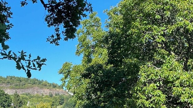 A grassy field with trees and a fence. - Old house, private swimming pool, superb view, calm and nature (Champagnac)