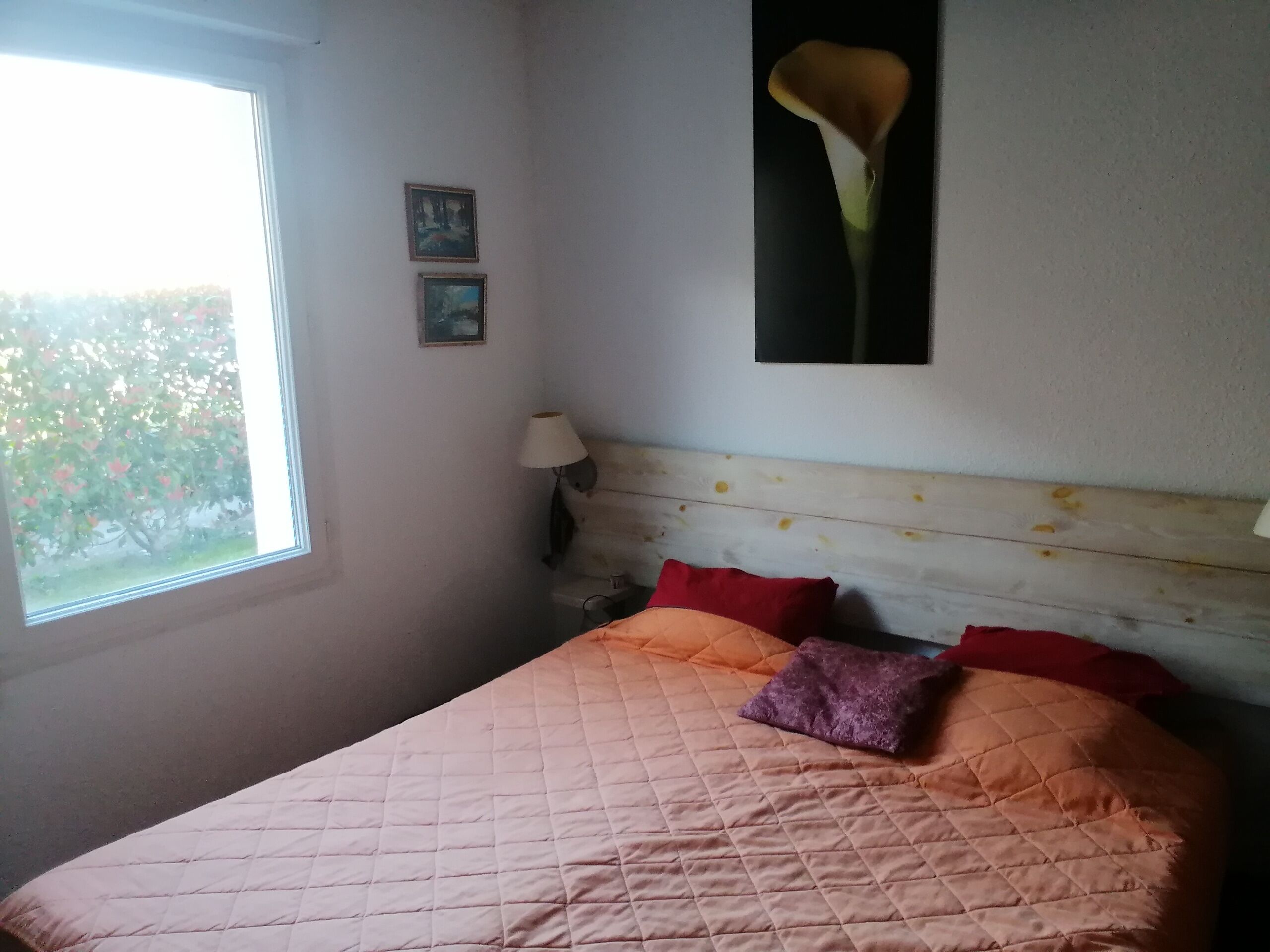 2 habitaciones, tabla de planchar con plancha y wifi 