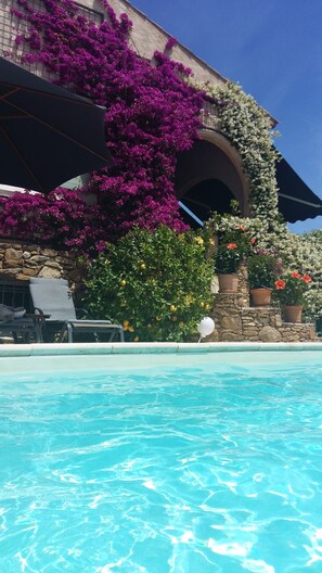 A swimming pool with clear blue water, surrounded by a stone wall. There are potted plants and flowers, including purple bougainvillea and yellow flowers. - Very beautiful Provencal house sleeps 6/12 in a quiet area in Le Beausset, Var (Le Beausset)