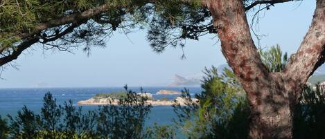 A coastal landscape with a prominent tree in the foreground and a distant view of the sea and rocky outcrops.