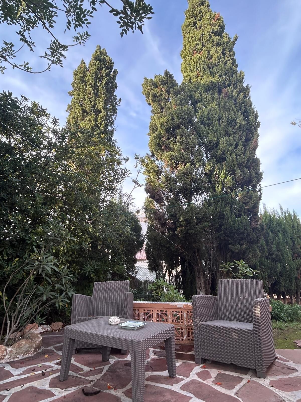 An outdoor seating area with wicker furniture, surrounded by tall trees and a stone patio.