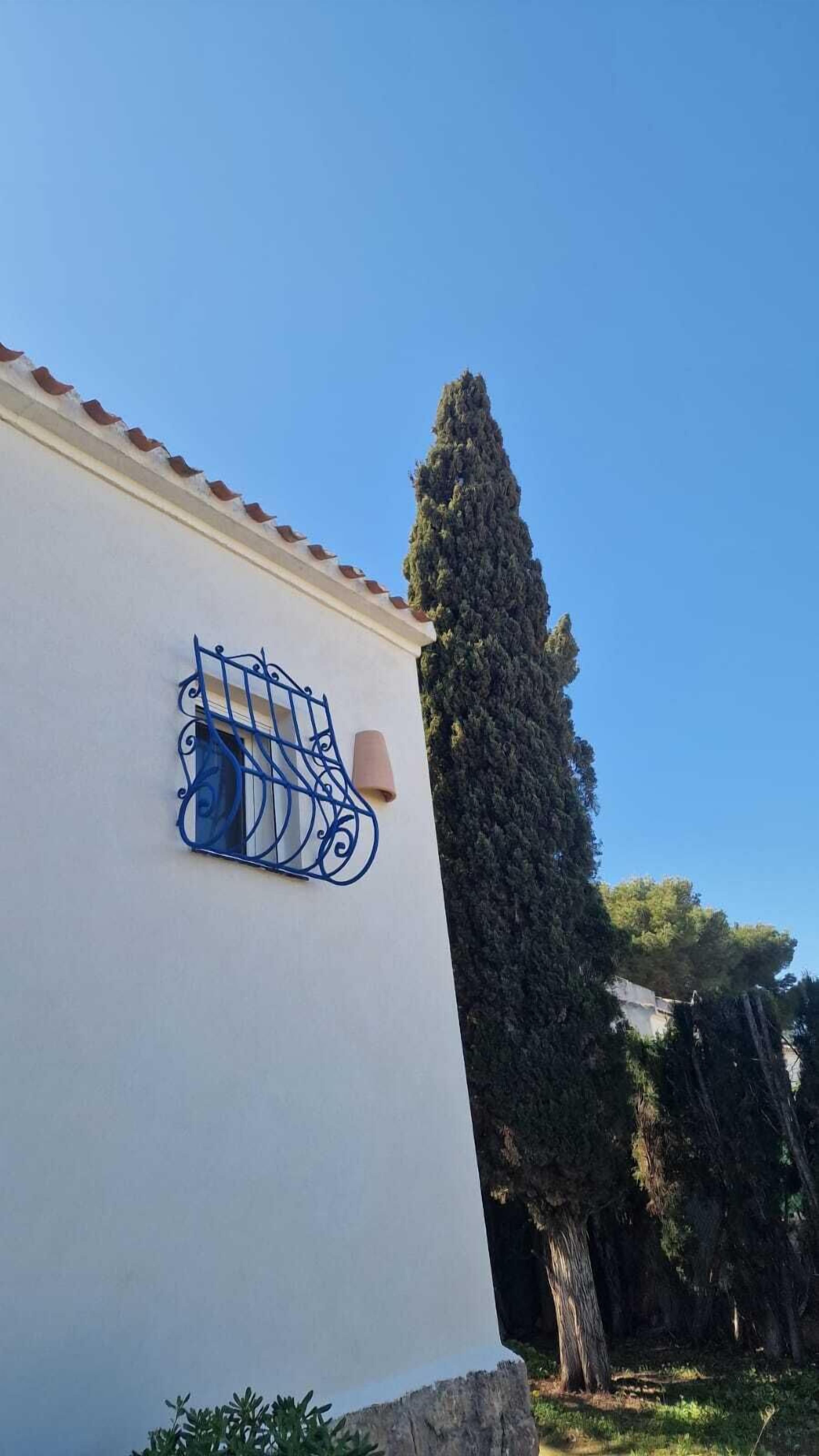 A building with a white facade, a window with blue metal bars, and a tall tree in the background.
