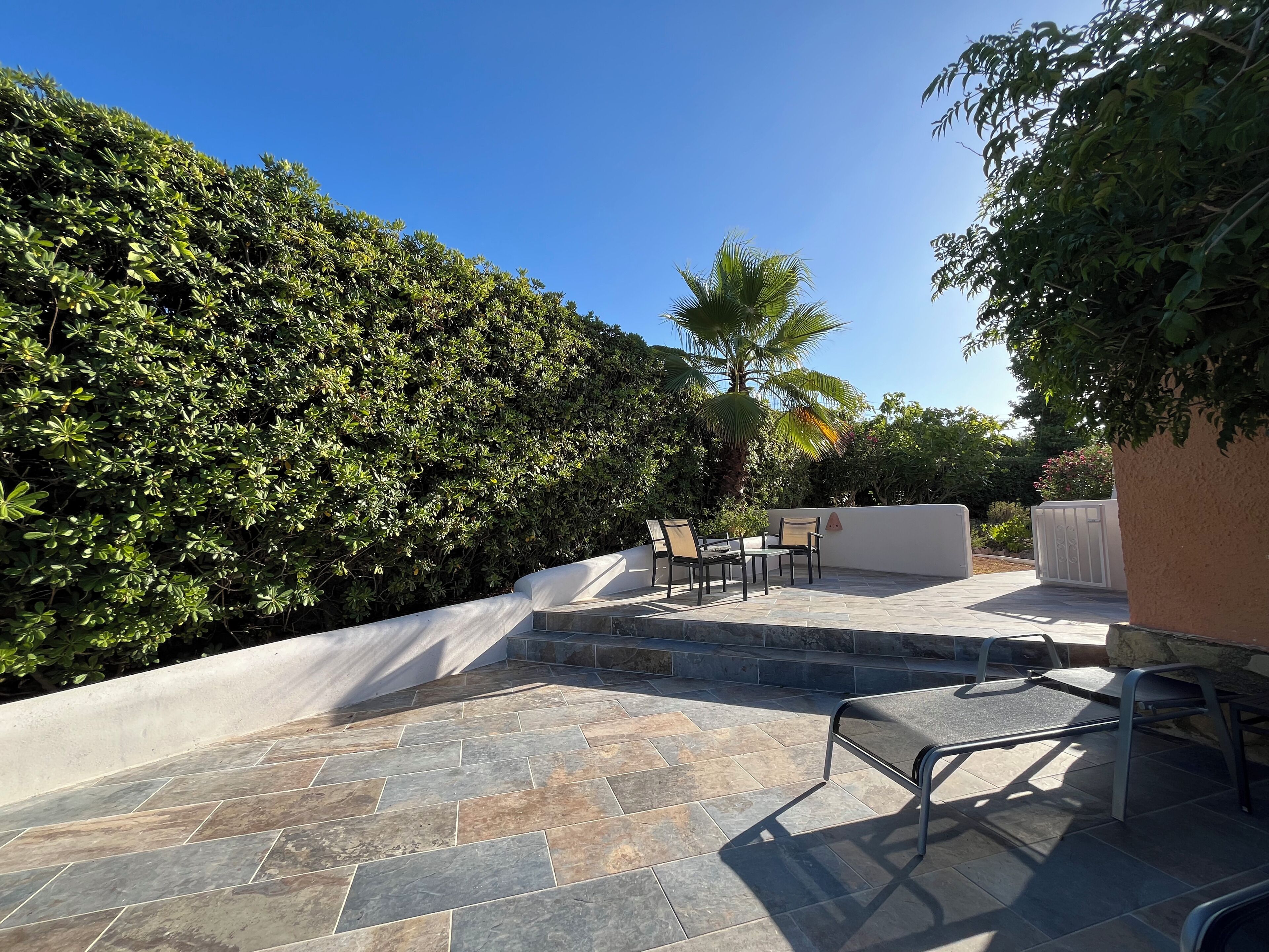 テラス / パティオ