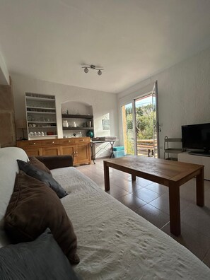 TV, DVD player, books, video library