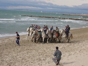 Plage à proximité