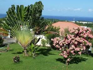 Property grounds - Studio South East, large terrace facing the sea in tropical garden. (capesterre belle eau)