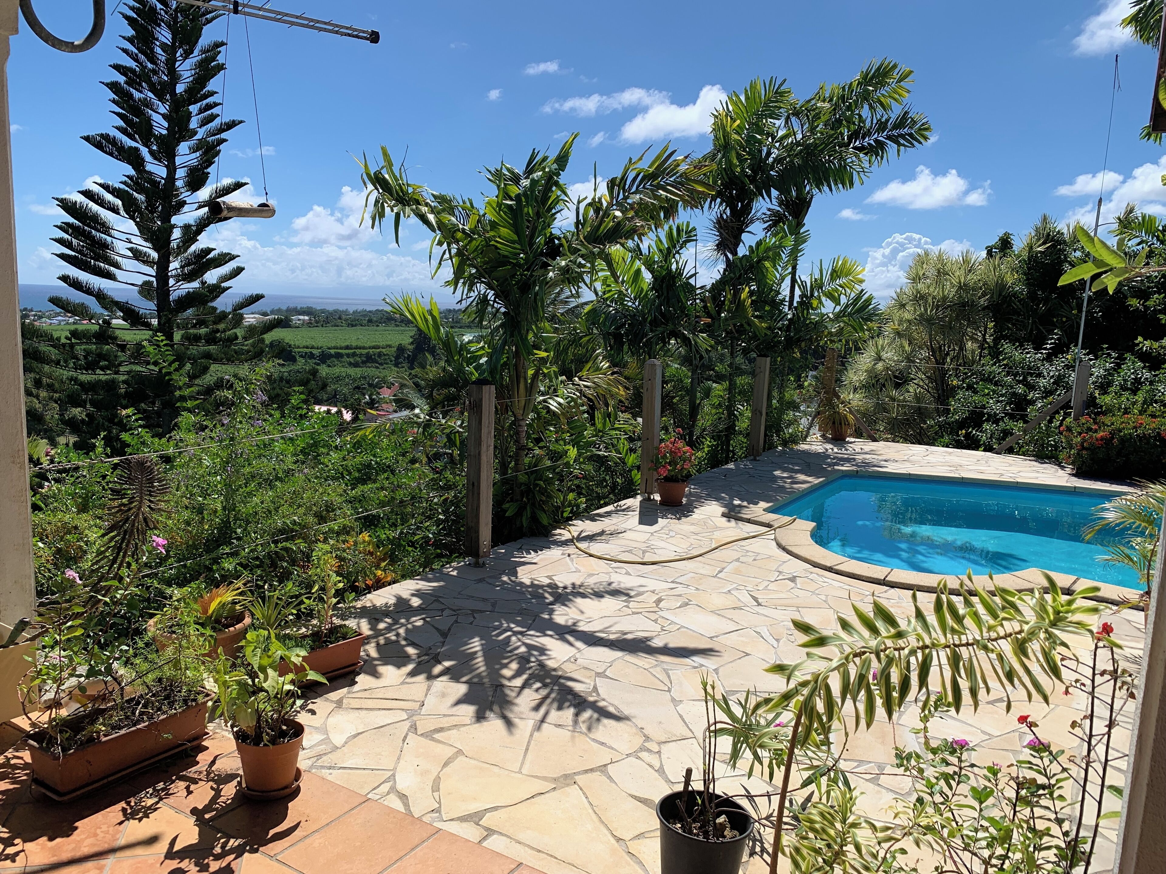 Un jardin à l’arrière de la maison, avec une piscine, entouré de plantes en pot et offrant une vue sur la campagne.