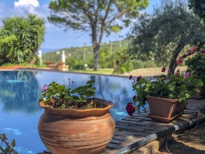 Une piscine bordée de pots en terre cuite dans lesquels sont plantées des fleurs.