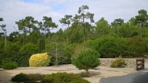 Un espace aménagé avec différents arbres et arbustes, un mur en pierre et un chemin pavé menant à une porte.