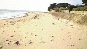 Une plage de sable avec des empreintes de pas, un mur de pierre et des arbres en arrière-plan.